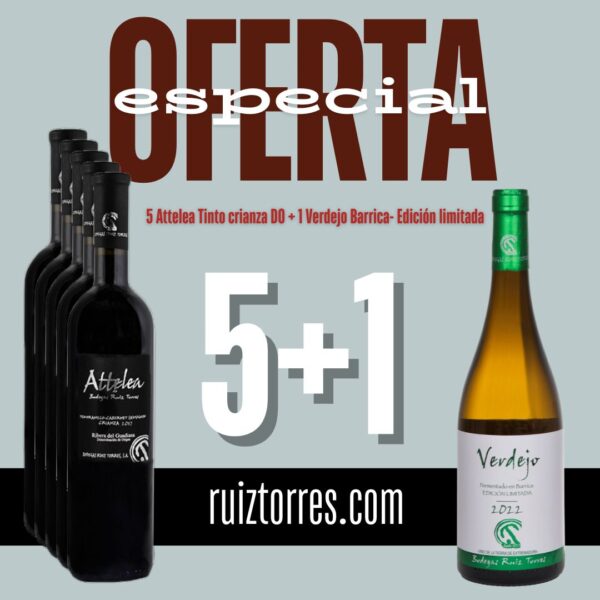 5 Attelea Tinto crianza DO + 1 Verdejo Barrica